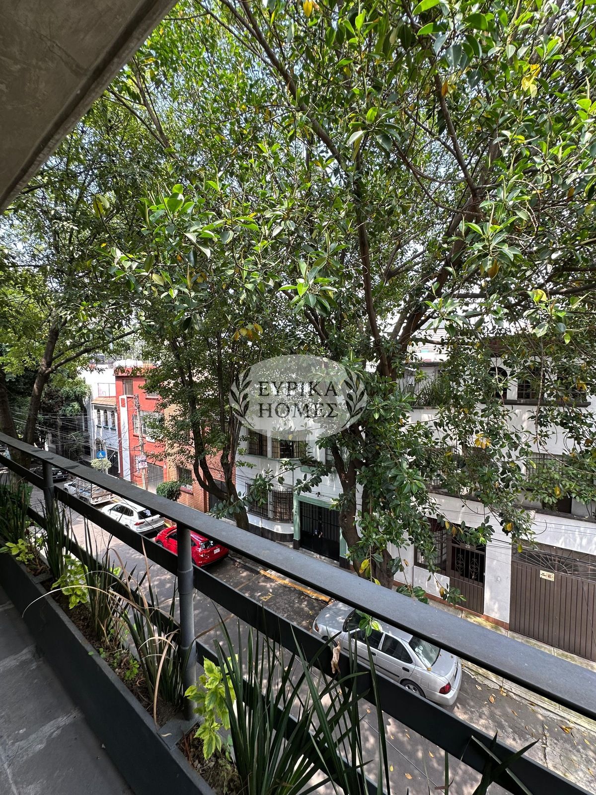 3 de 36