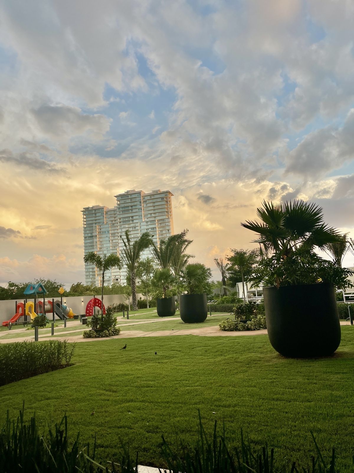 5 de 29: Jardin