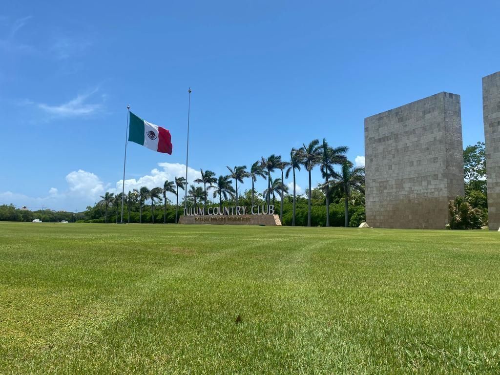 1 de 8