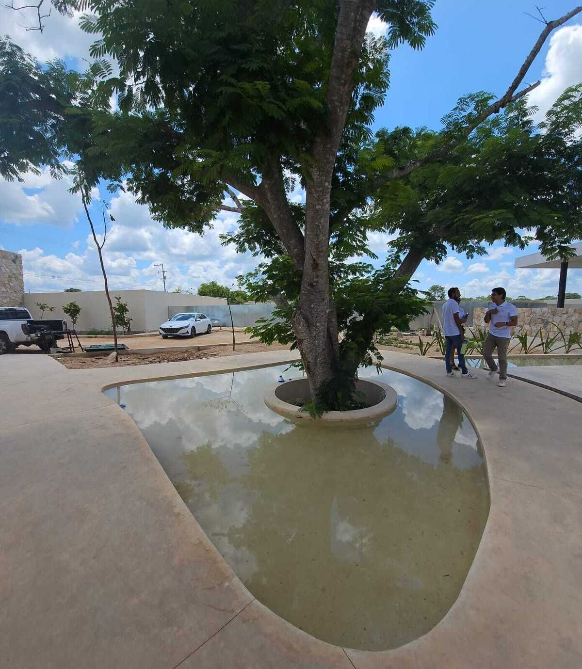 12 de 20