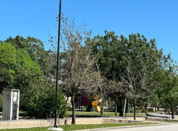 13 de 14