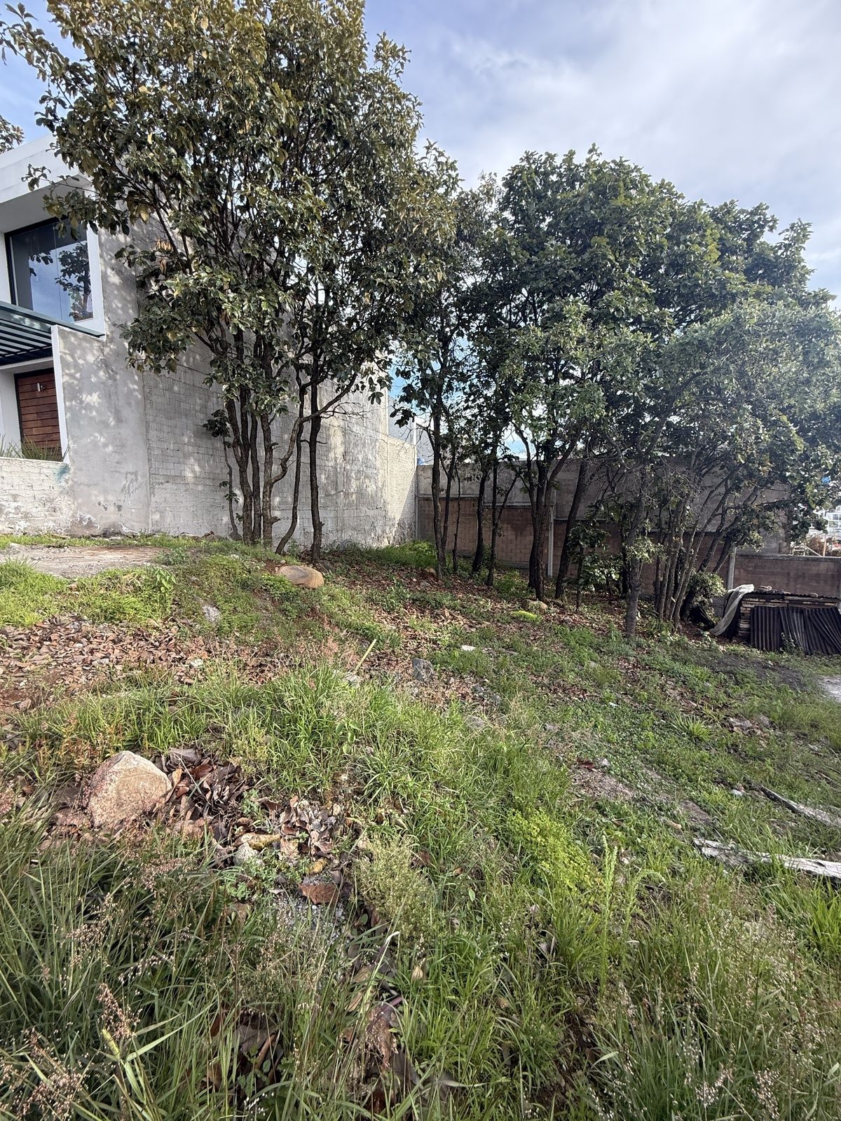 2 de 2
