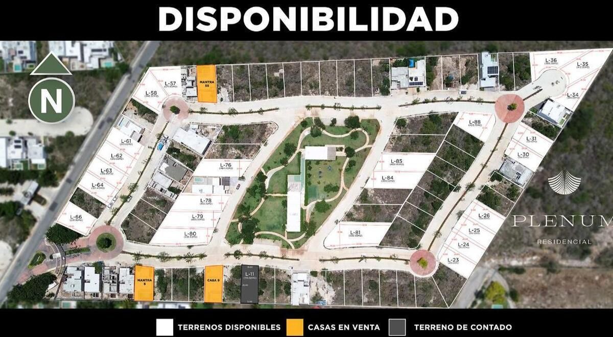 11 de 11