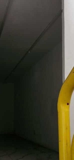 6 de 19