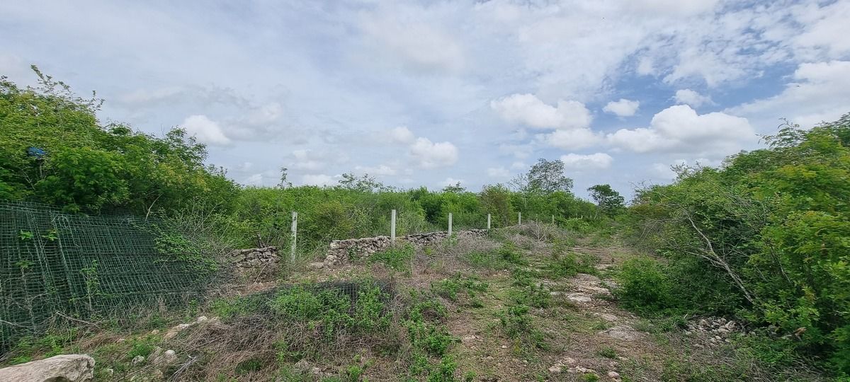1 de 3