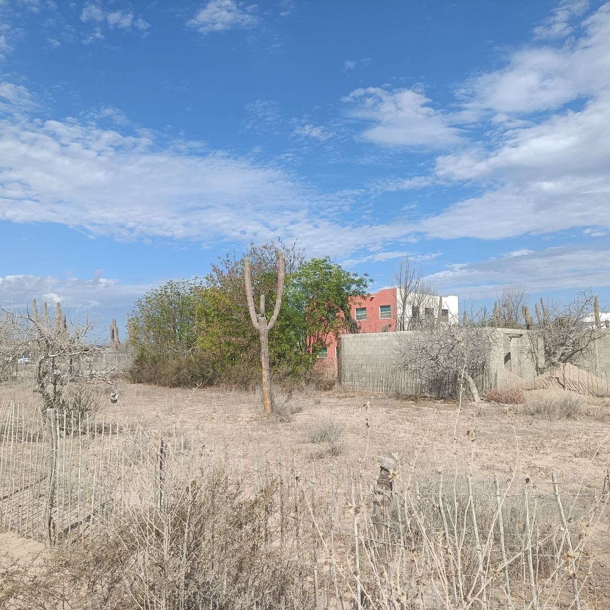 9 de 13: Interior del terreno