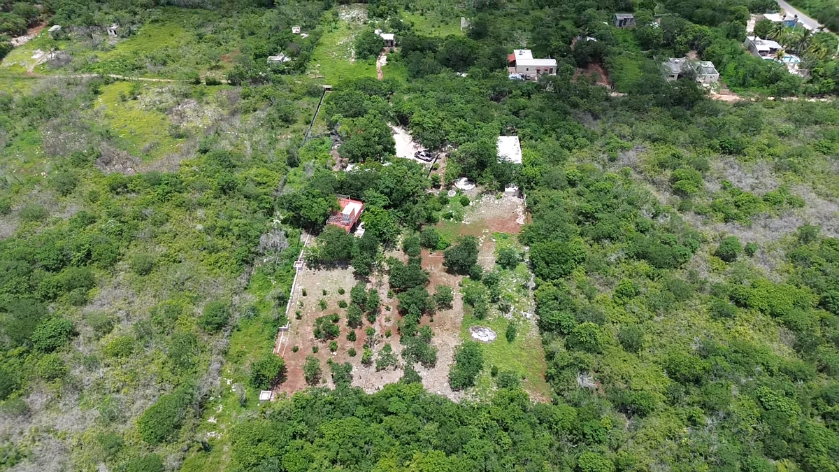 3 de 39