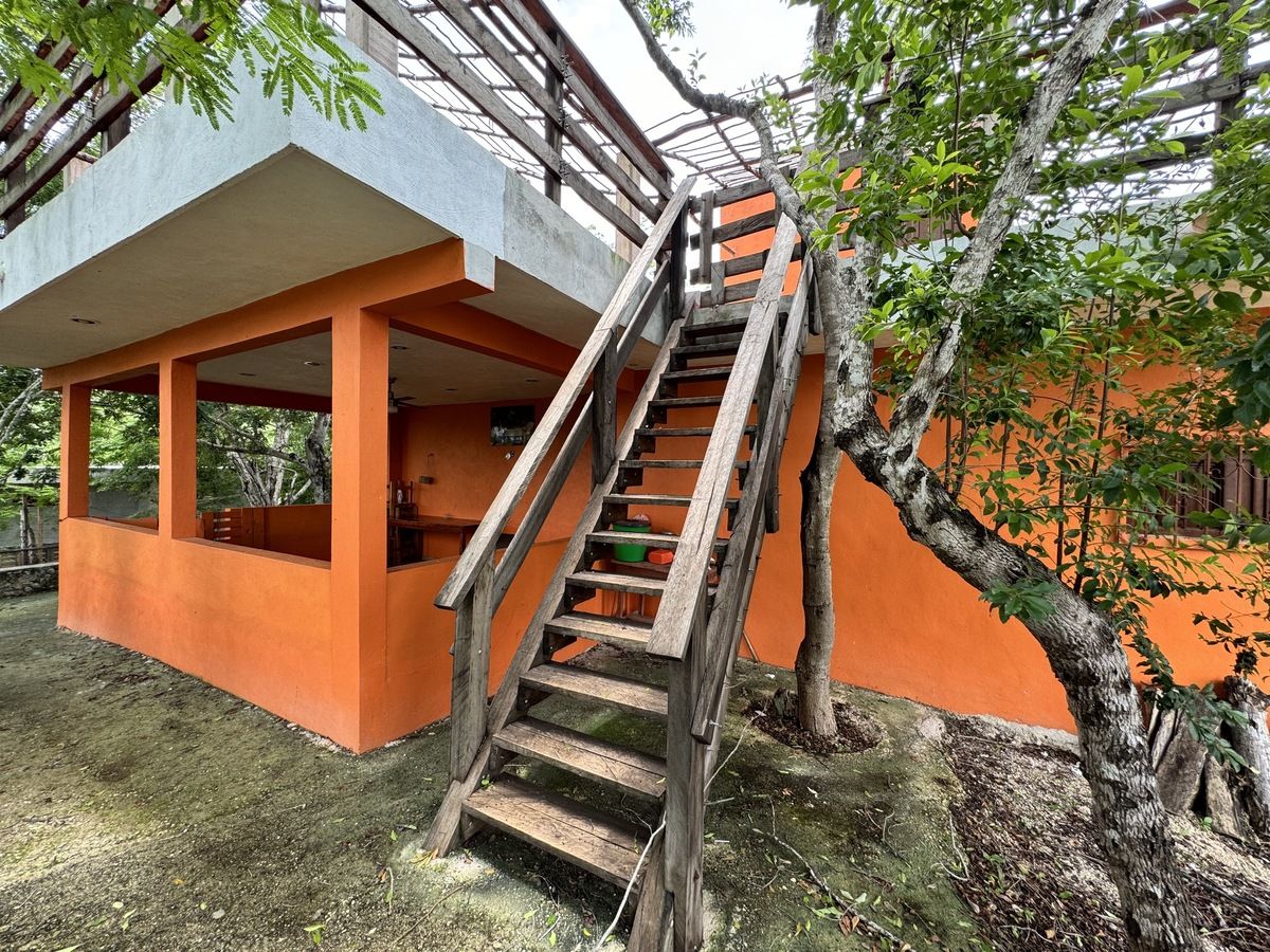 5 de 39