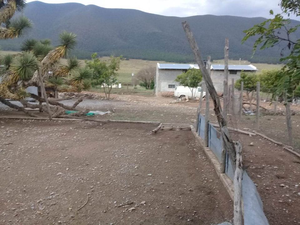 4 de 5