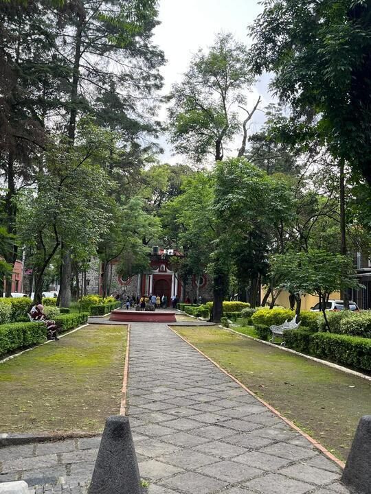 21 de 25