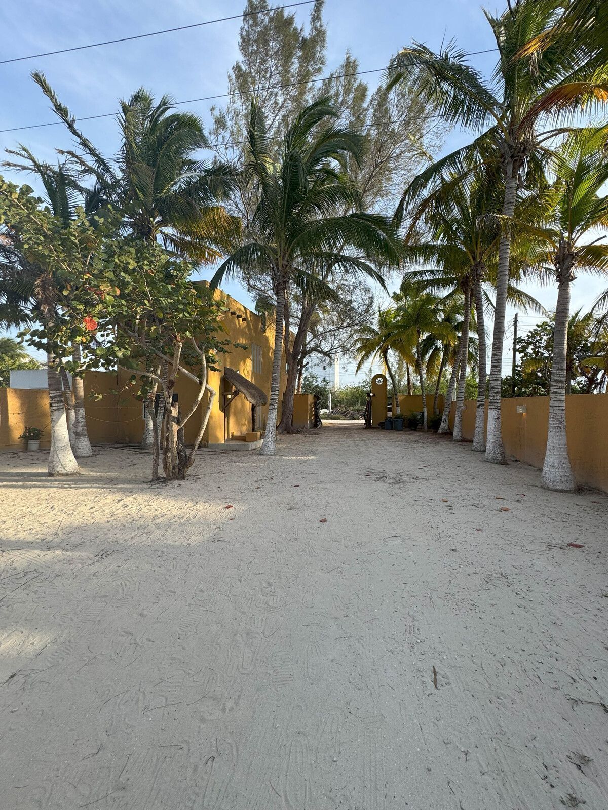 6 de 44