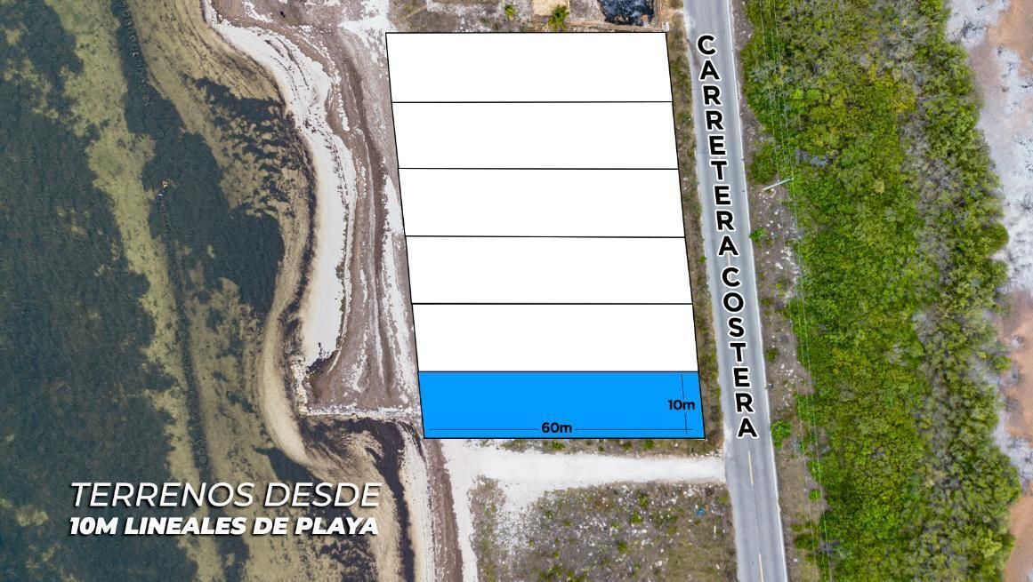6 de 6