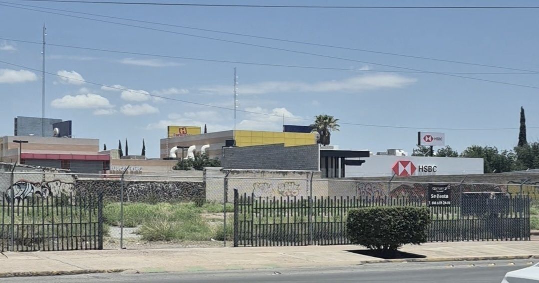 3 de 8