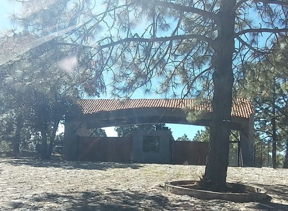 1 de 9