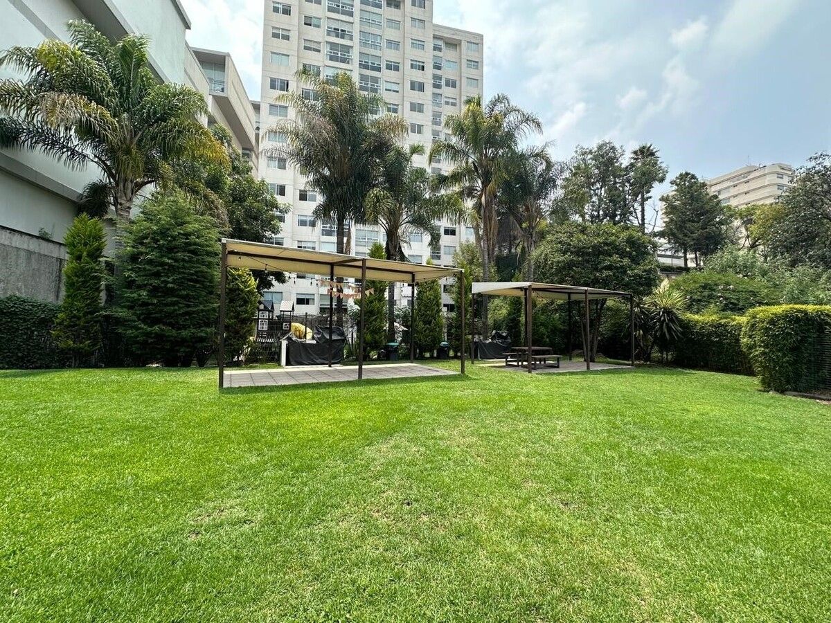 2 de 20: Departamento en Venta en Palo Solo Tips Inmobiliarios ®