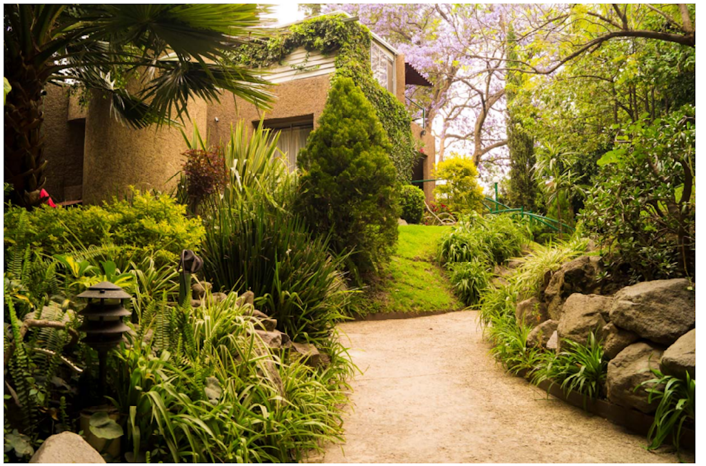 4 of 10: jardines