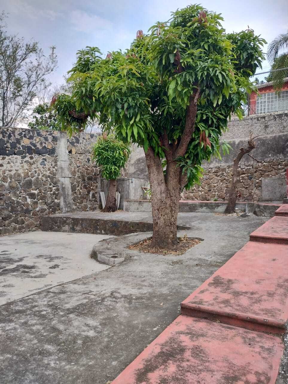 1 de 5: Terreno en Venta. 1,005 mts Emiliano Zapata, Mor.