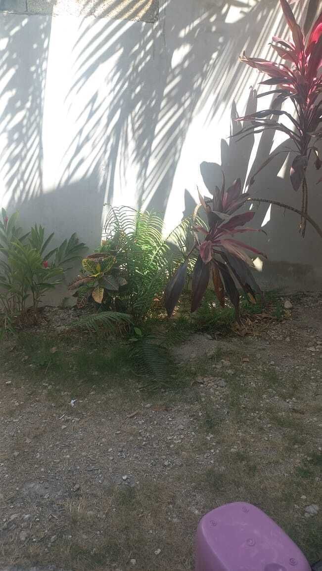 6 de 6