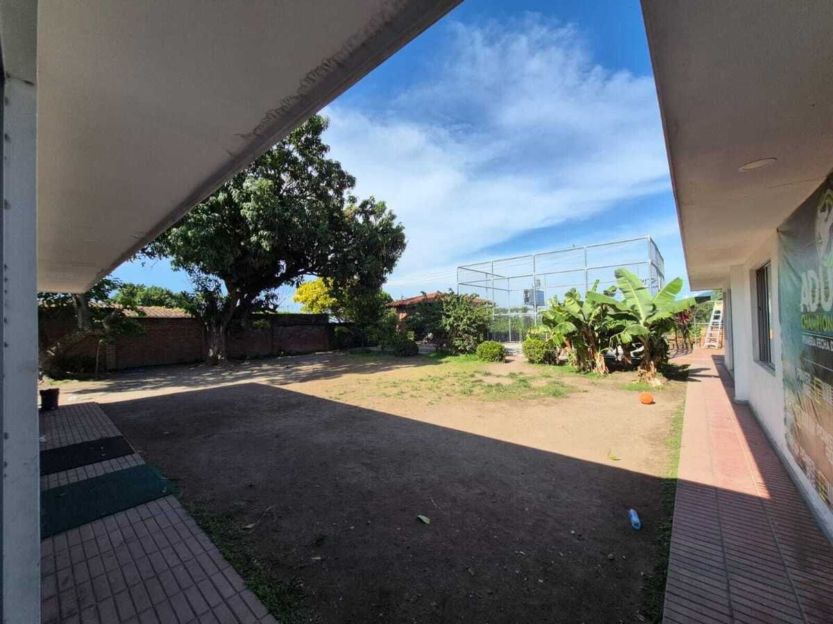 3 de 11