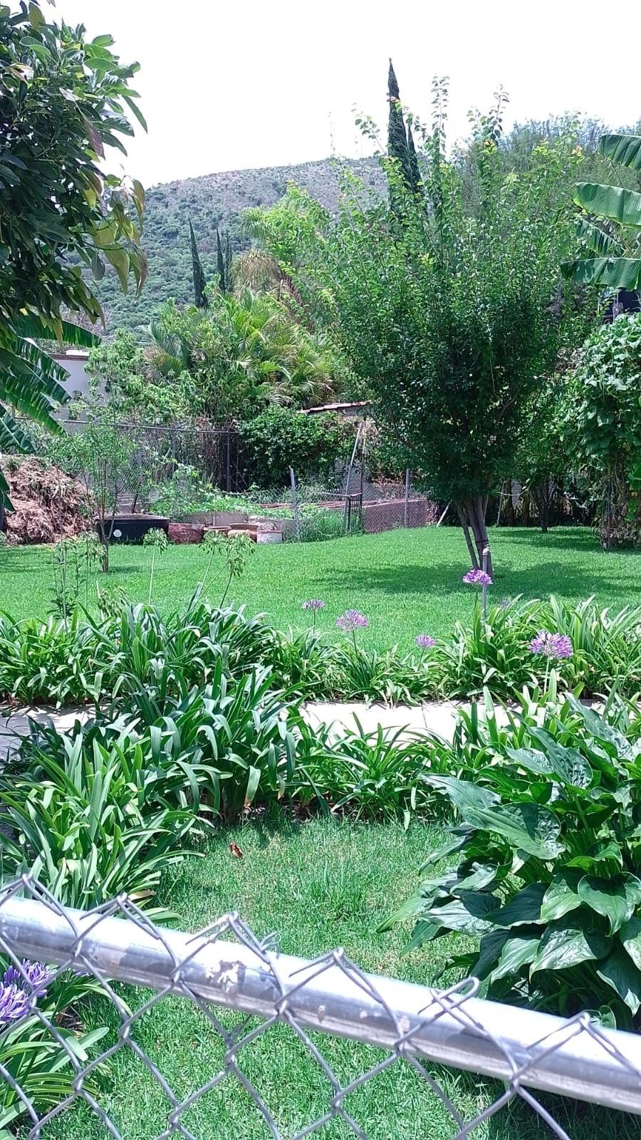 Imagen 7 de 10