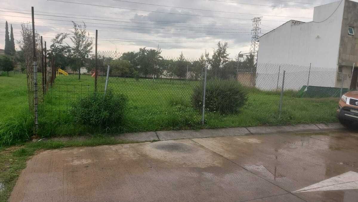 3 de 14