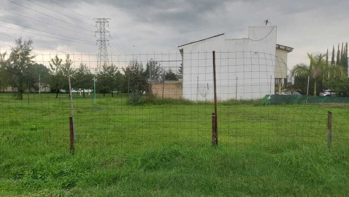 7 de 14