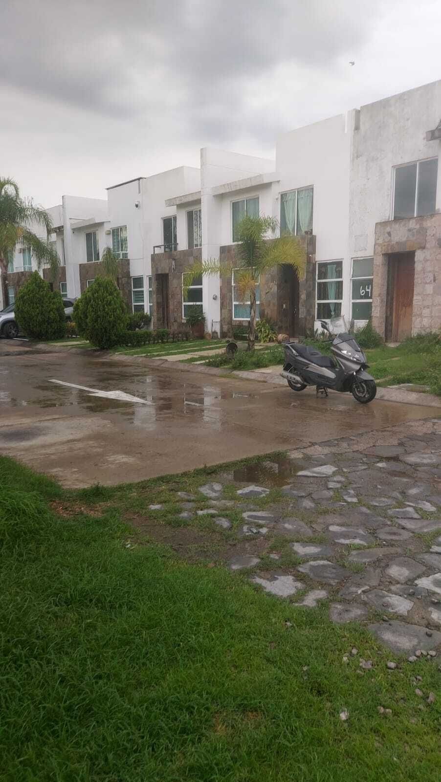 9 de 14