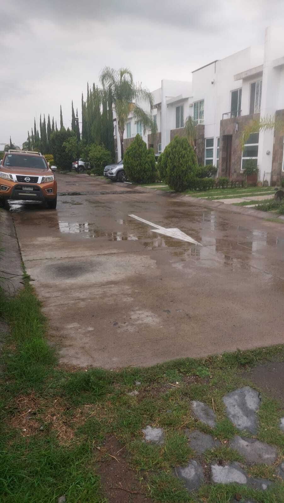 10 de 14