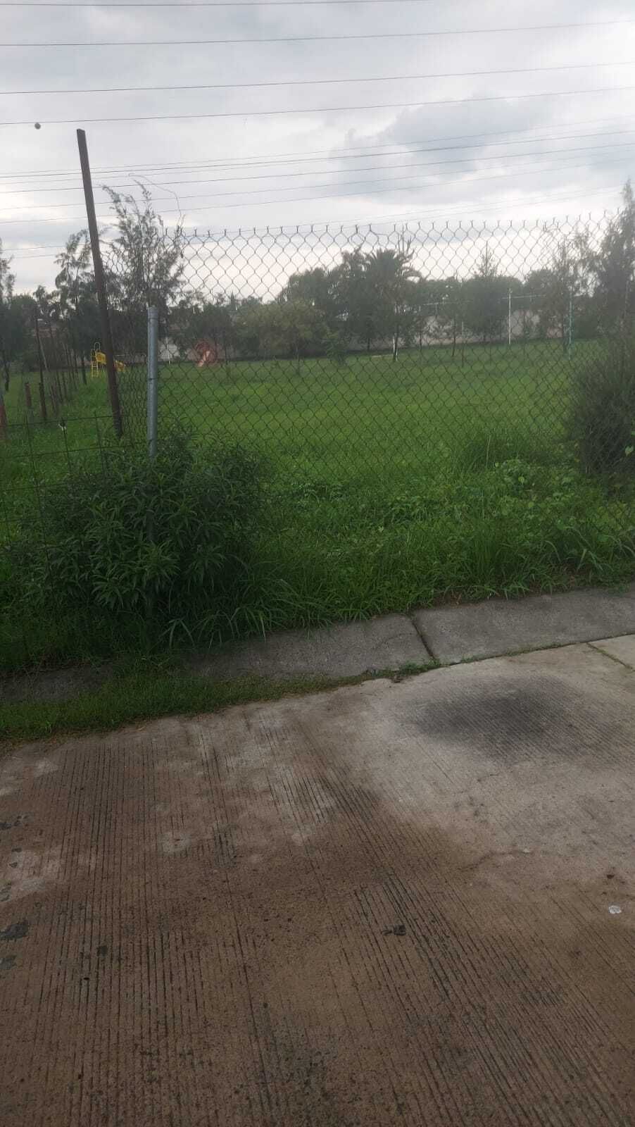 11 de 14