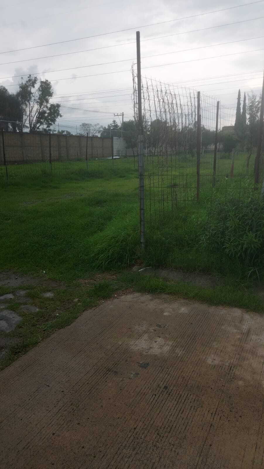 12 de 14