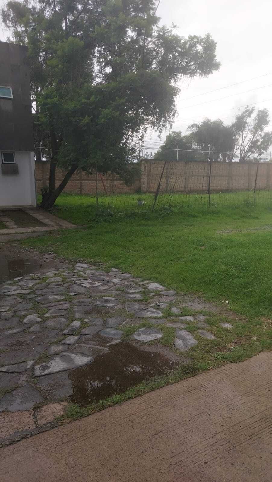 13 de 14