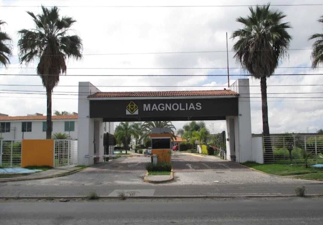 14 de 14