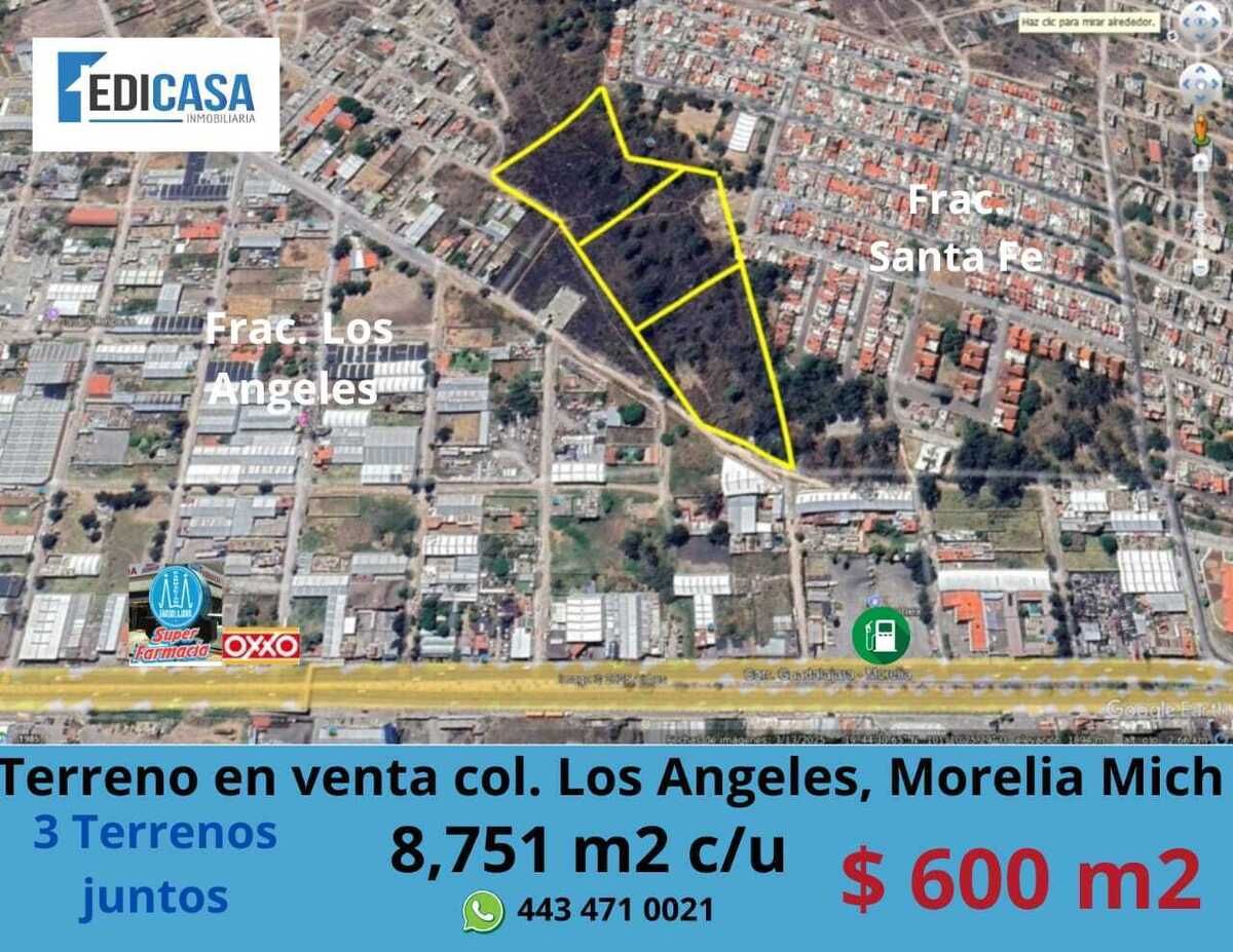 Imagen 1 de 4