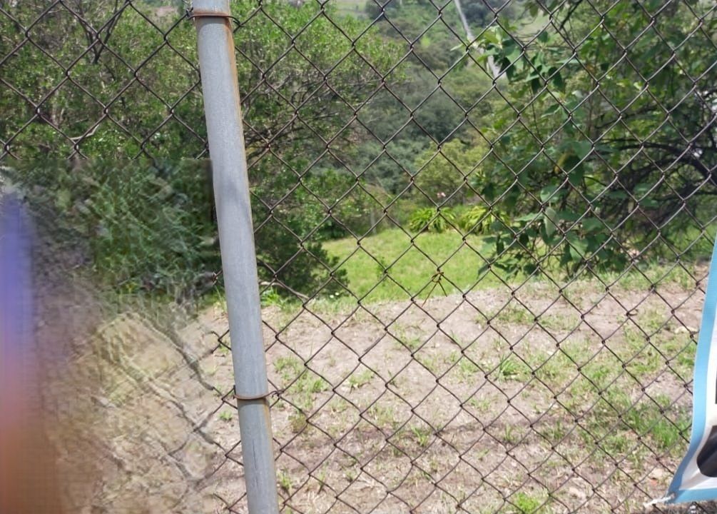 4 de 5