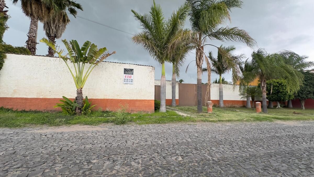 3 de 6
