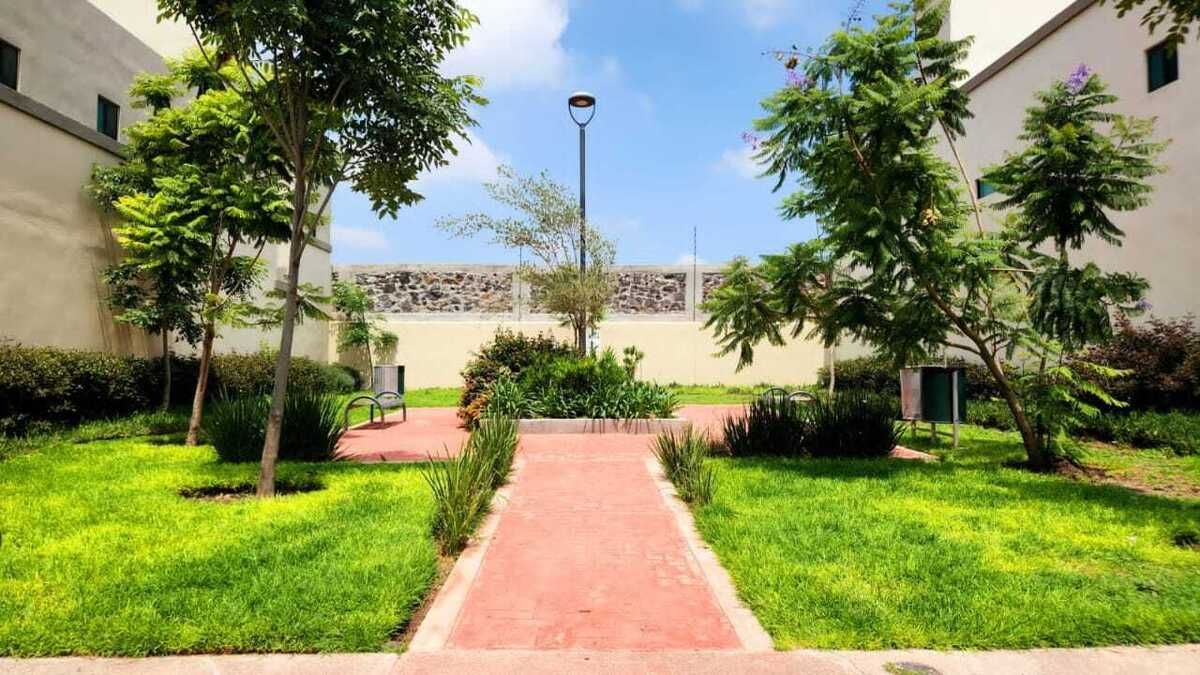 13 de 19
