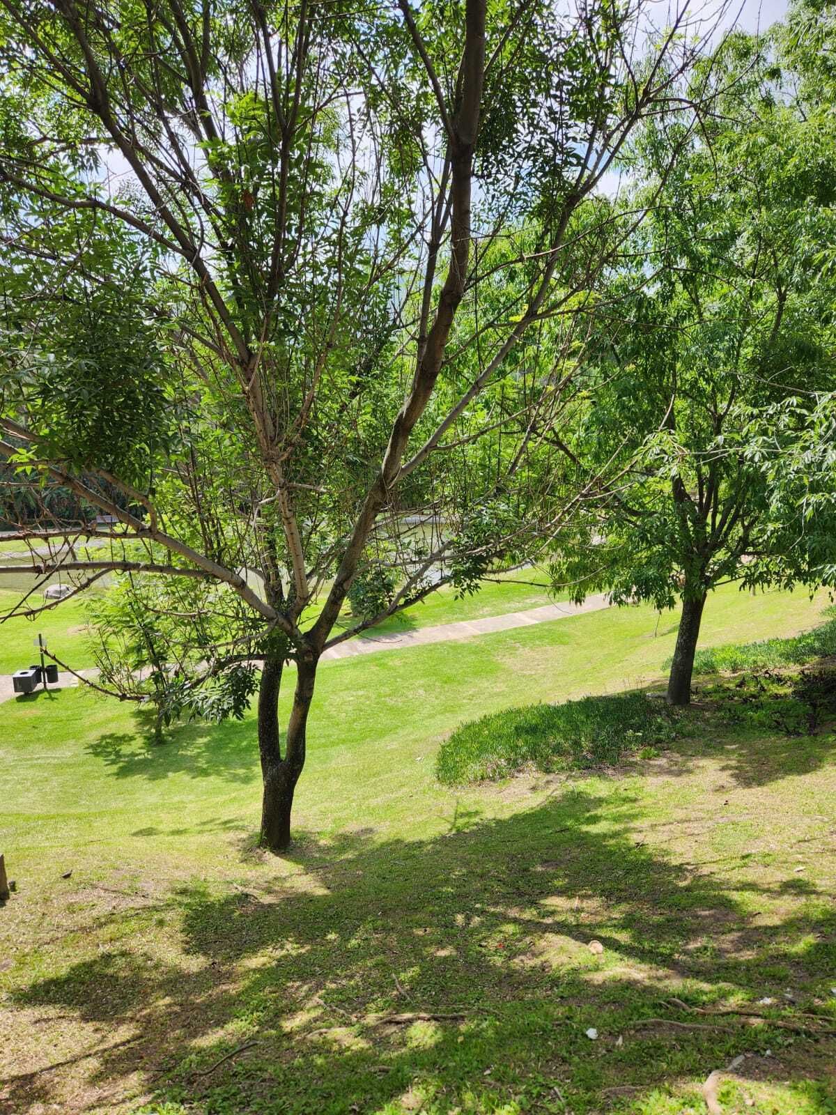 Terreno en Venta en Senderos de Monteverde, Tlajomulco de Zúñiga! - foto 3