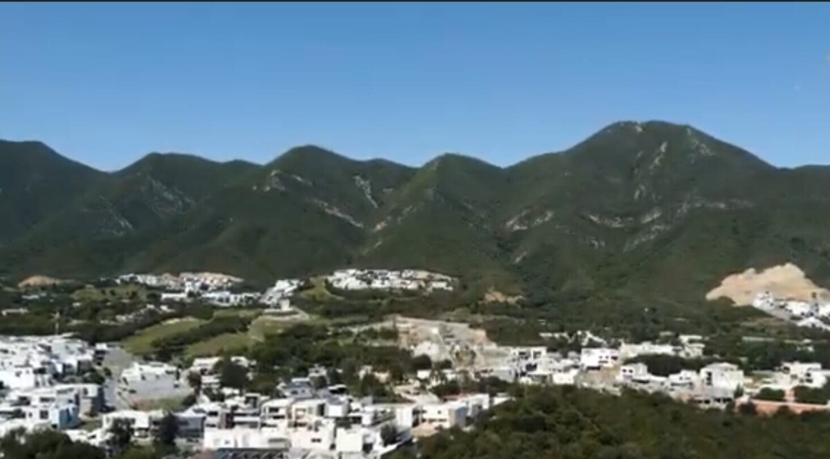 7 de 8