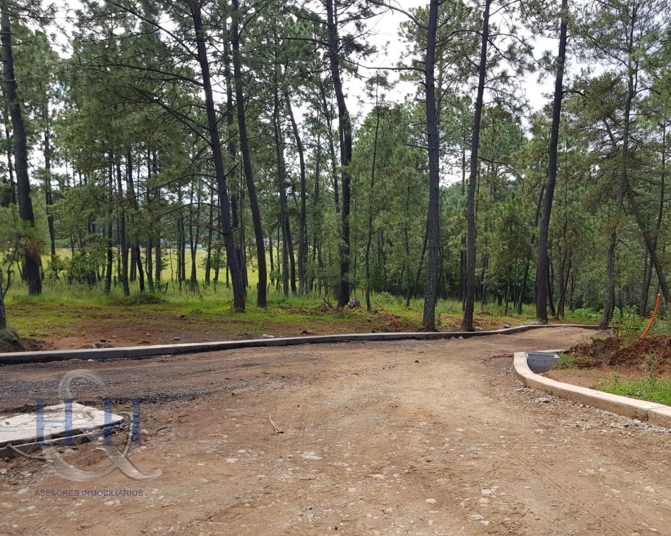 8 de 12