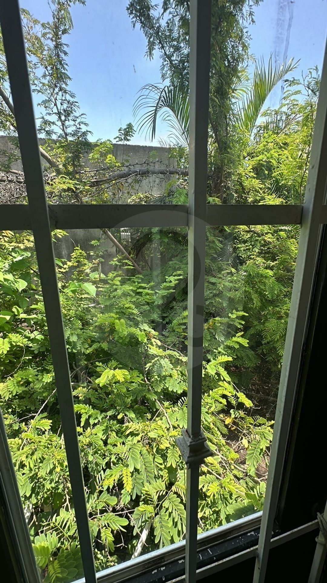 5 of 23