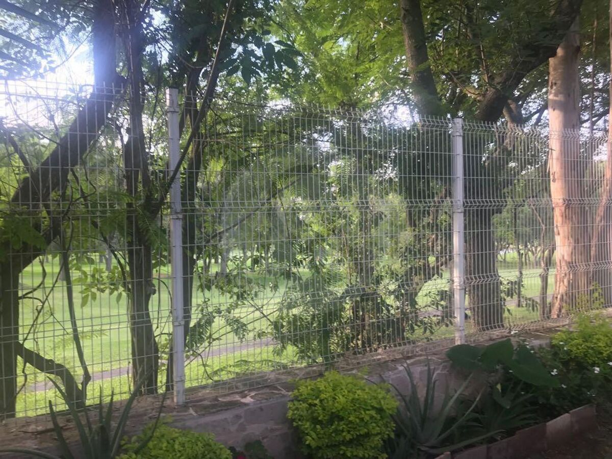 3 de 25