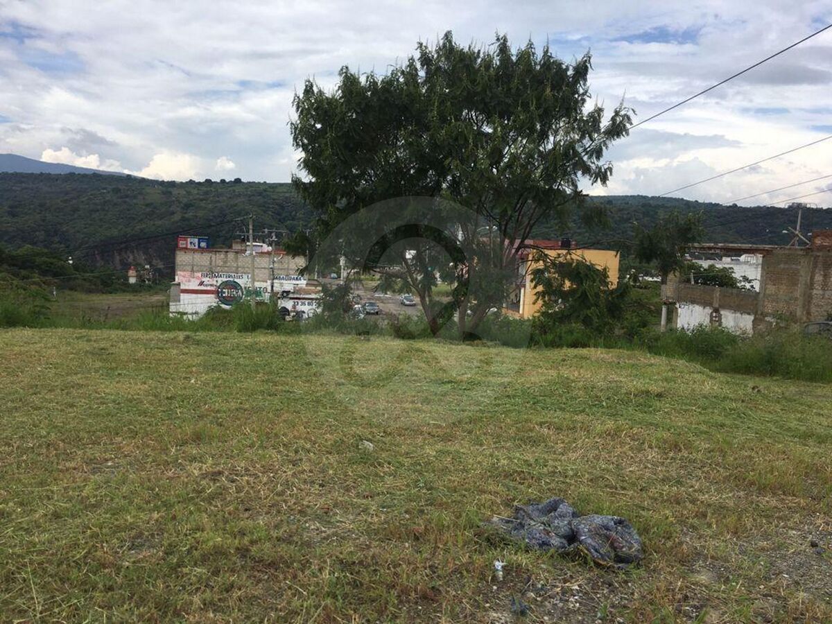 8 de 12