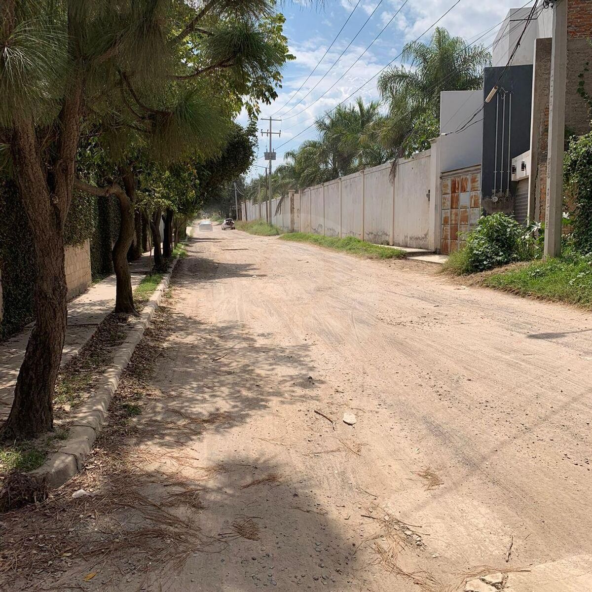 11 de 32