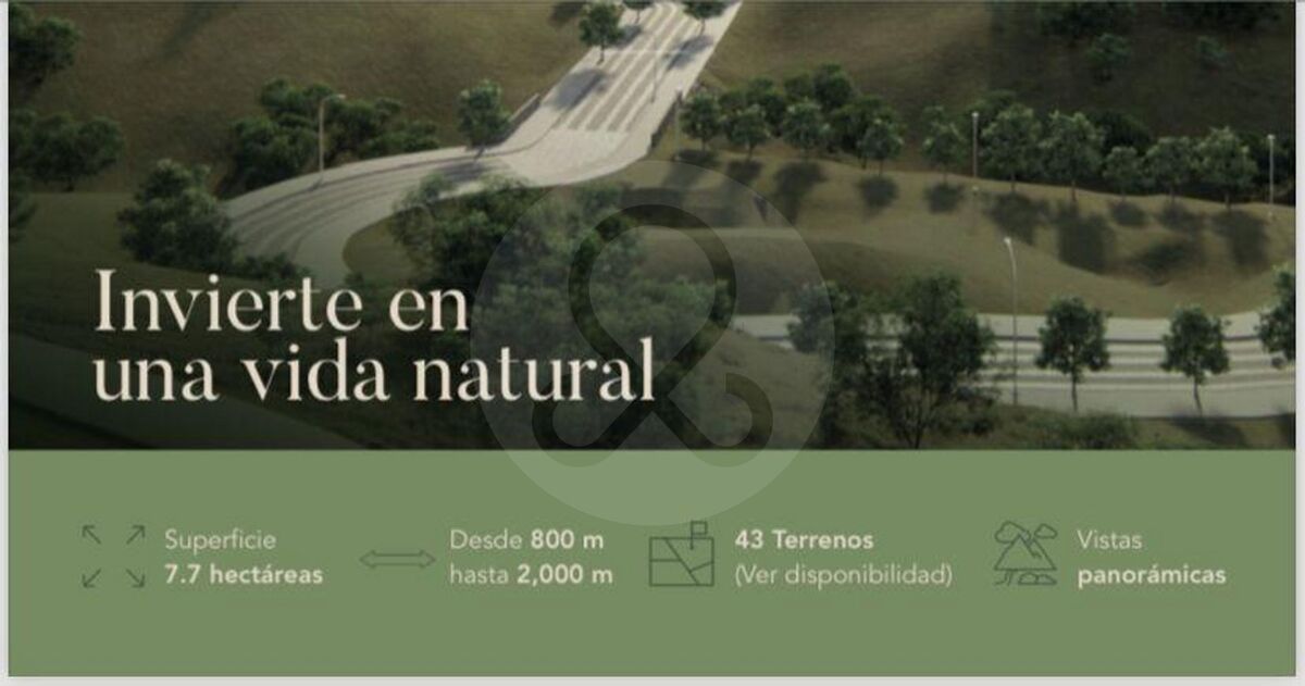 24 de 42