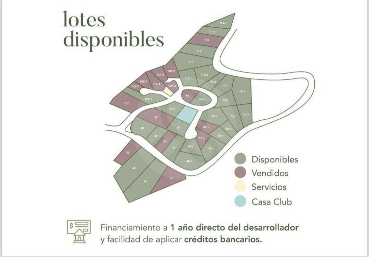 33 de 42