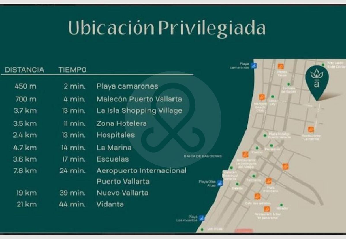 19 de 23