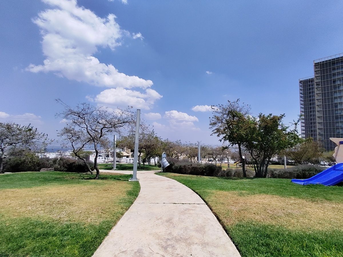 39 de 50