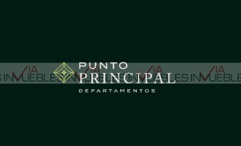 4 de 8