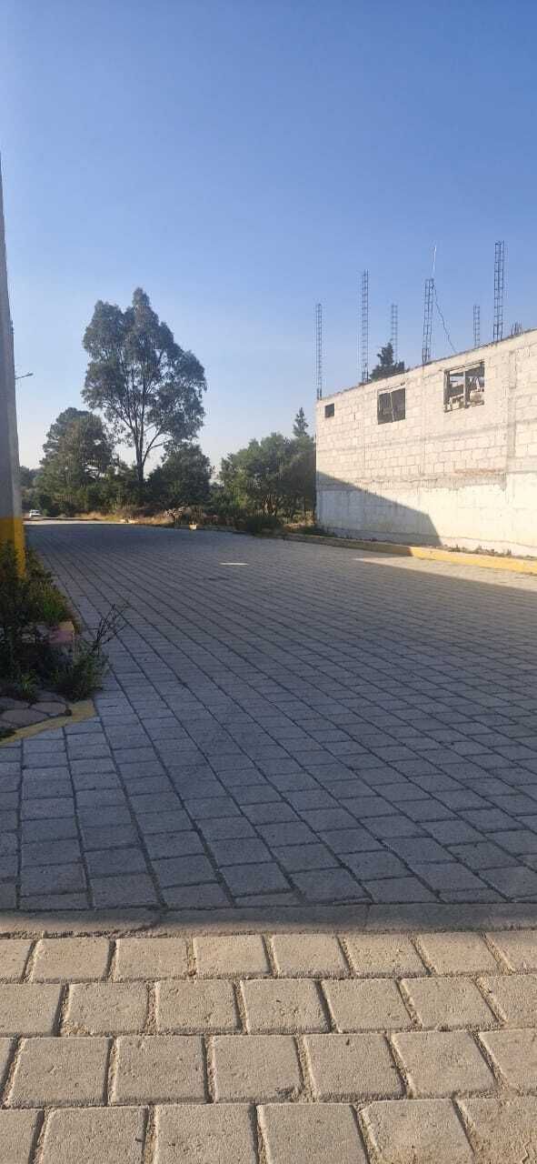 Imagen 3 de 6