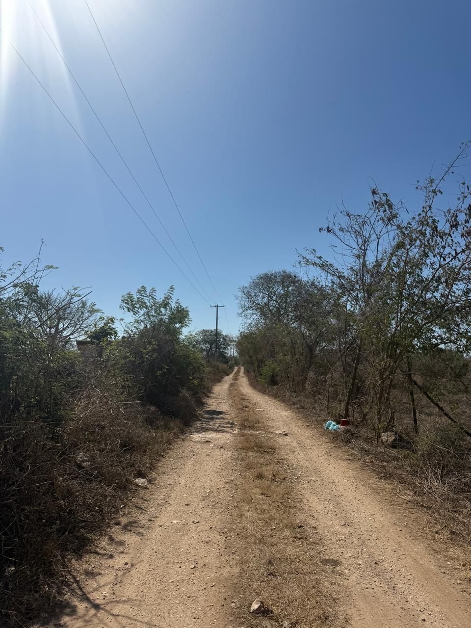 12 de 20